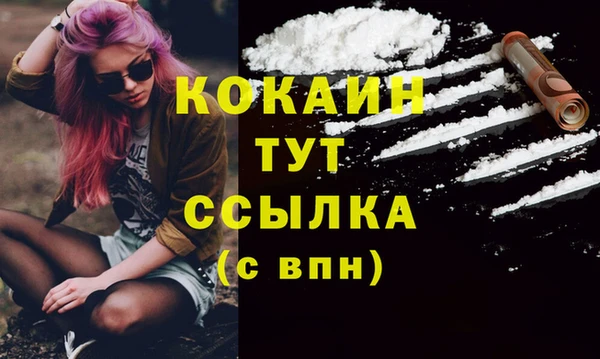индика Абдулино